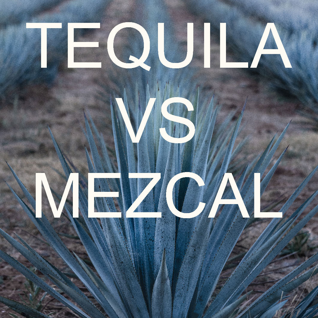 Tequila vs. Mezcal: Gemeinsamkeiten und Unterschiede der mexikanischen Spirituosen